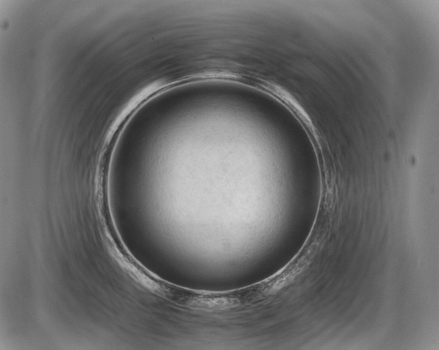 X0000086061243200703231233