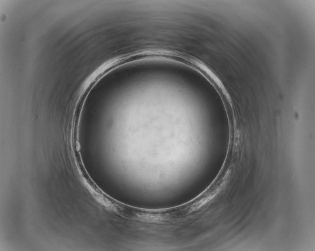 X0000086061245200703231233