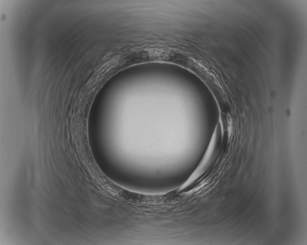 X0000086061249200703231233