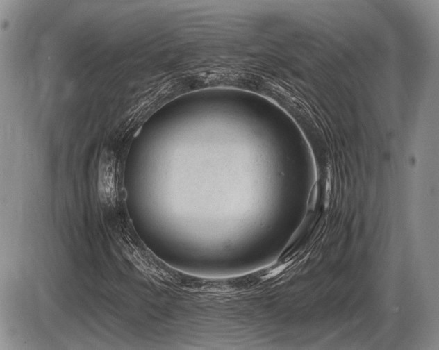 X0000086061250200703231233