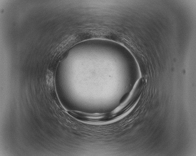 X0000086061251200703231233