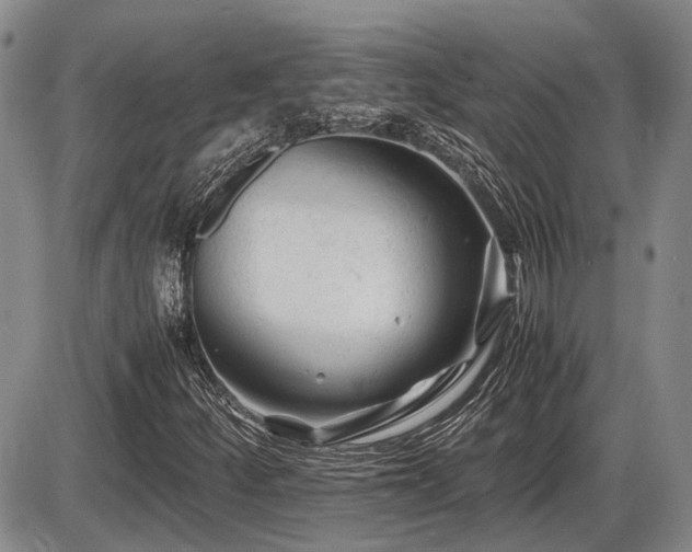 X0000086061252200703231233