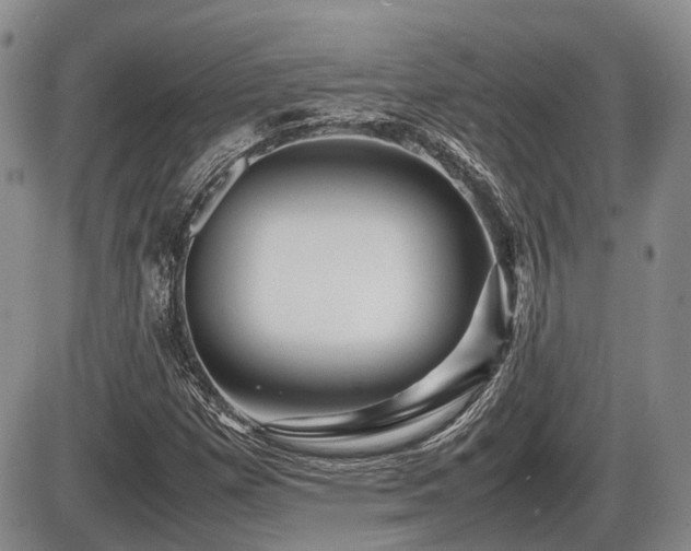 X0000086061257200703231232
