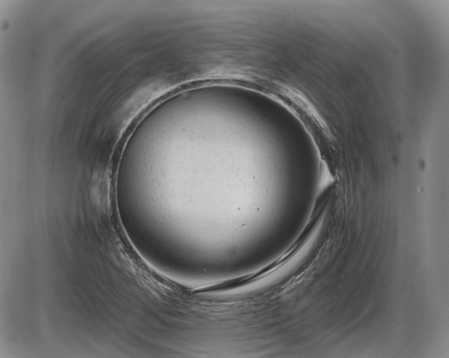 X0000086061268200703231232