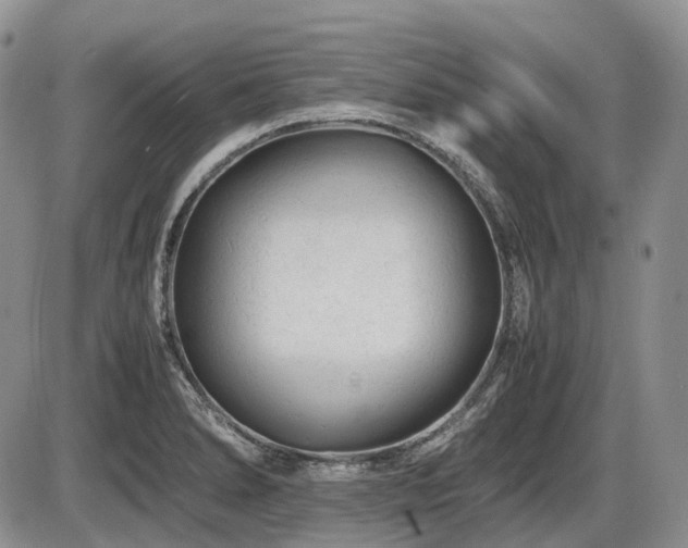 X0000086061278200703231232