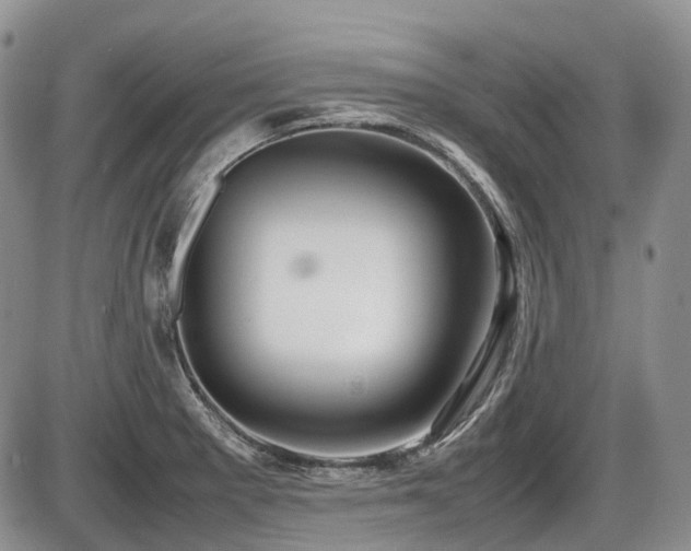 X0000086061281200703231232