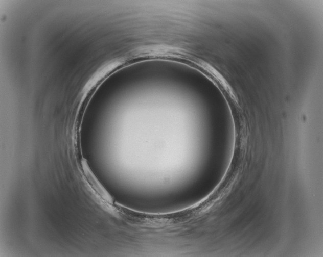 X0000086061285200703231232