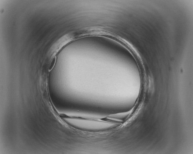 X0000086061289200703231232