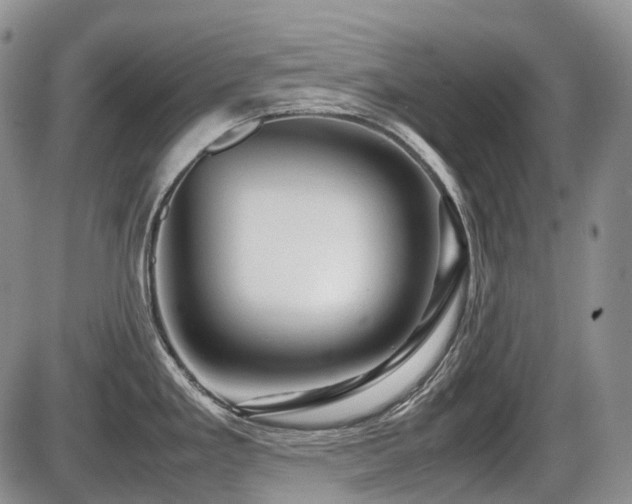 X0000086061293200703231232