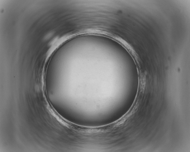 X0000086061294200703231232