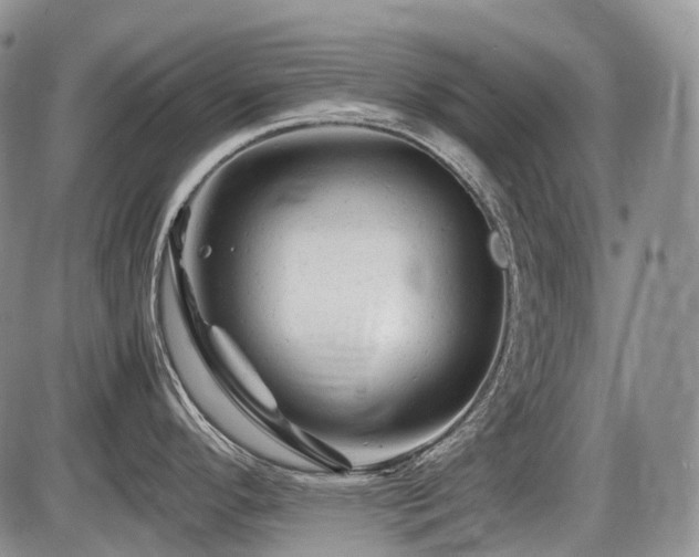 X0000086061296200703231232