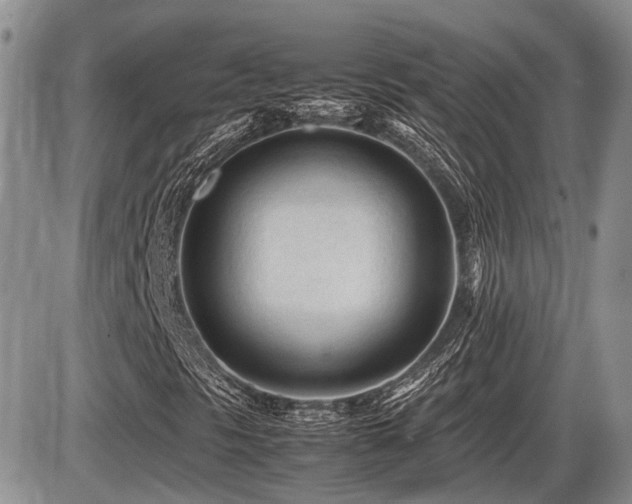 X0000086061297200703231231