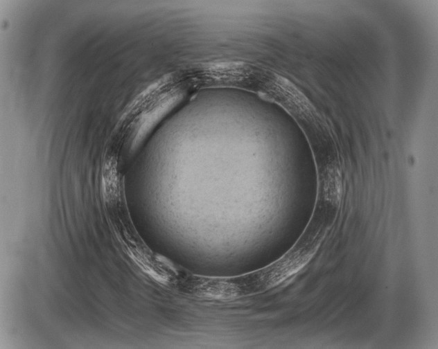 X0000086061298200703231231
