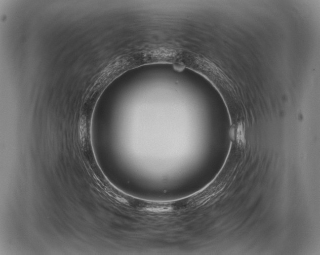 X0000086061299200703231231