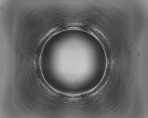 X0000086061305200703231231