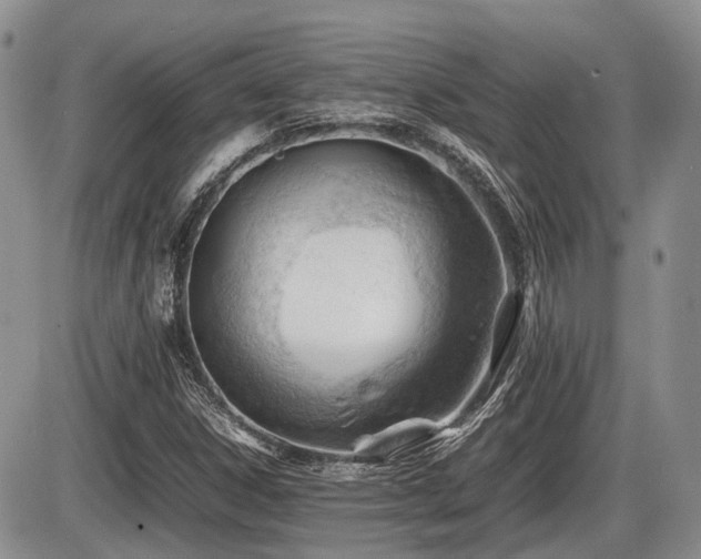 X0000086061306200703231231