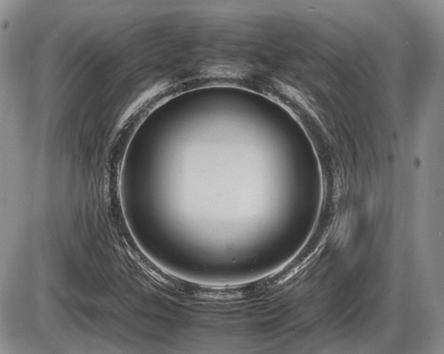 X0000086061307200703231231