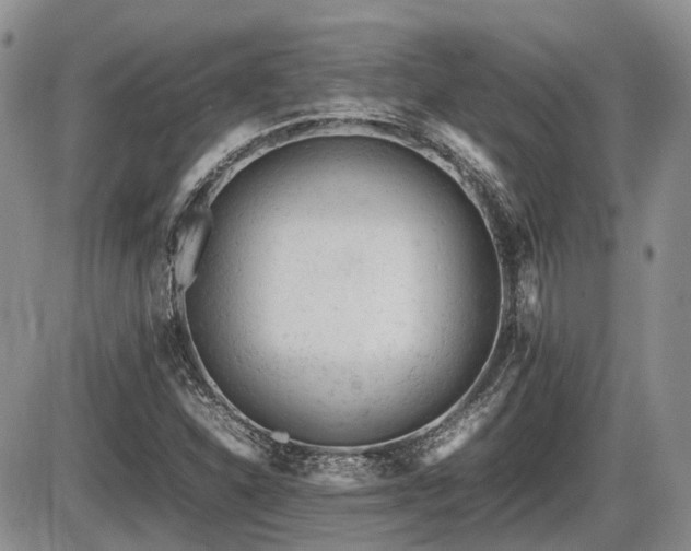 X0000086061310200703231231