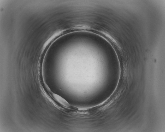X0000086061325200703231231