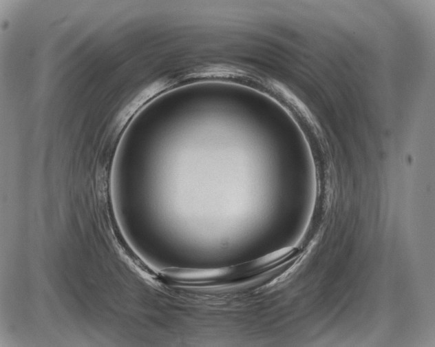 X0000086061329200703231232