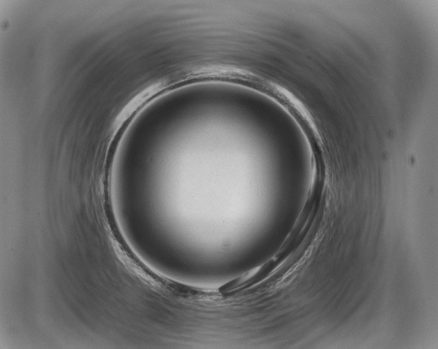 X0000086061330200703231232