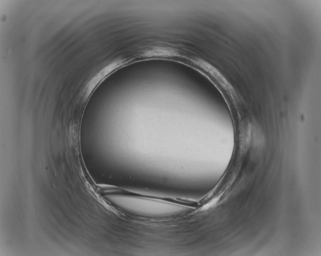 X0000086061337200703231232