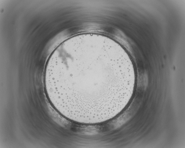 X0000086061338200703231232