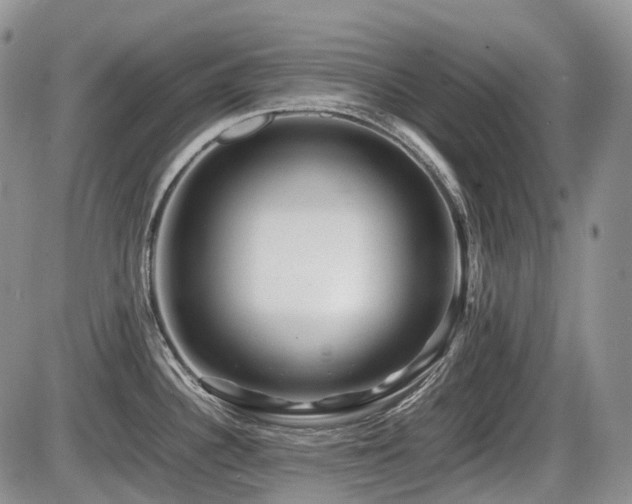 X0000086061340200703231232