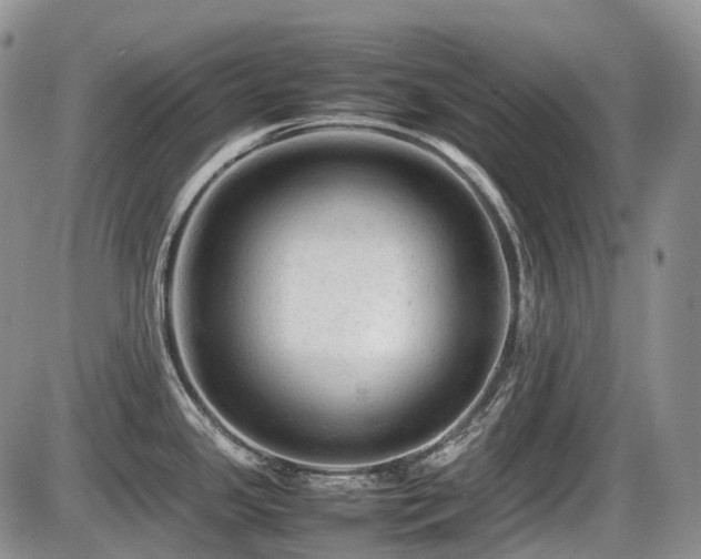 X0000086061341200703231232