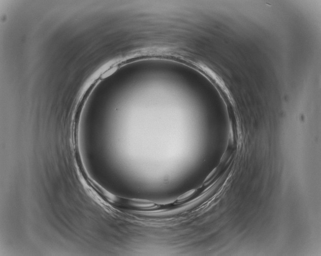 X0000086061342200703231232