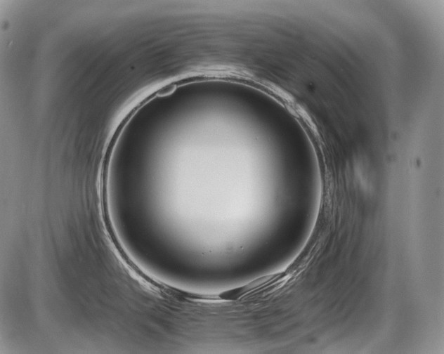 X0000086061343200703231232