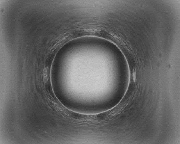 X0000086061347200703231231