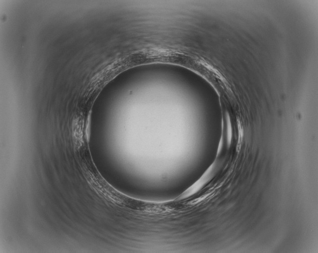X0000086061348200703231231