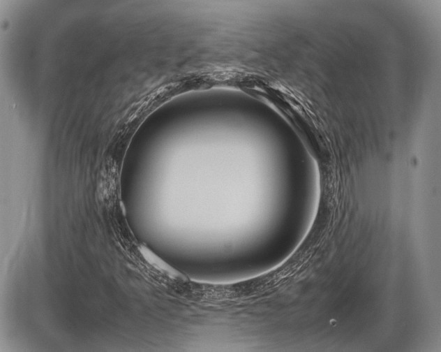 X0000086061349200703231231