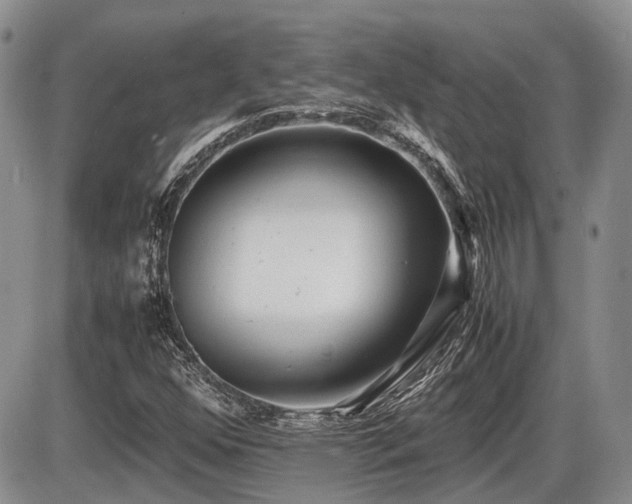 X0000086061352200703231231