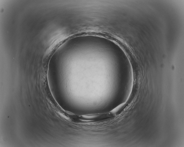 X0000086061359200703231231