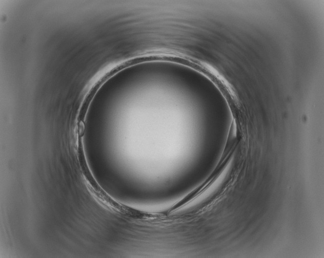 X0000086061372200703231231