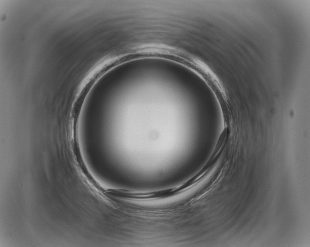 X0000086061376200703231230