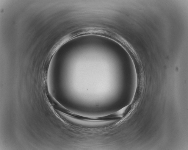 X0000086061377200703231230