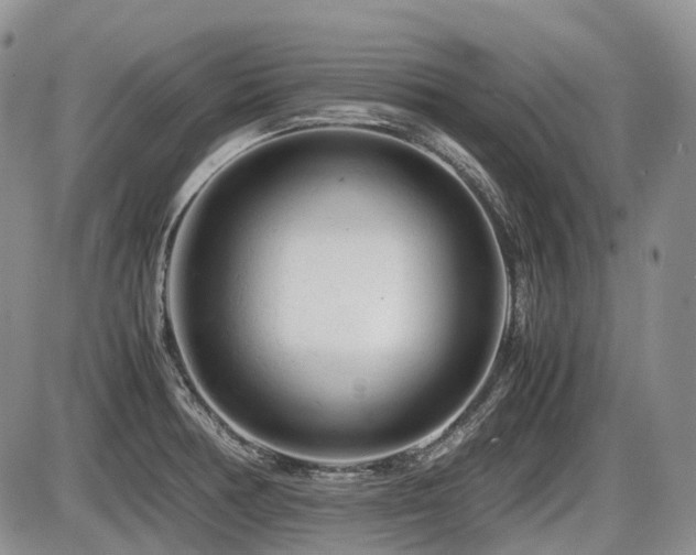 X0000086061378200703231230