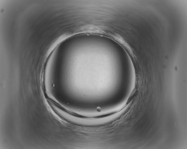 X0000086061383200703231230