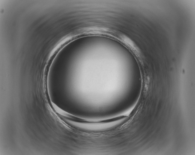 X0000086061384200703231230