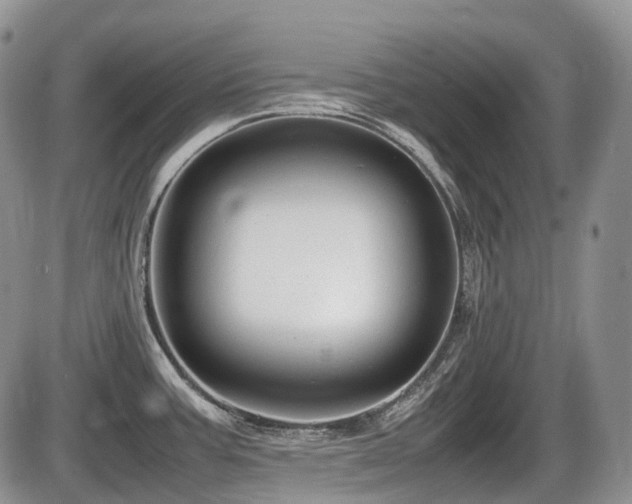 X0000086061387200703231230