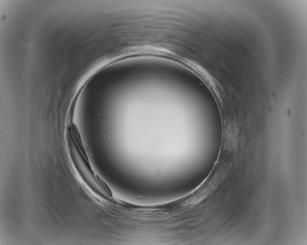 X0000086061391200703231230