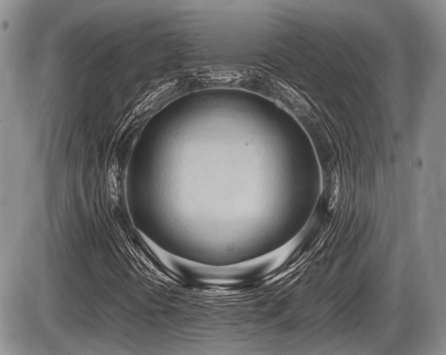 X0000086061394200703231229
