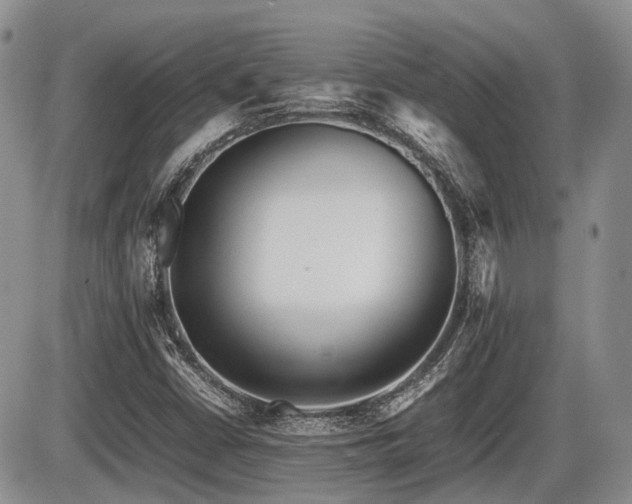 X0000086061402200703231230