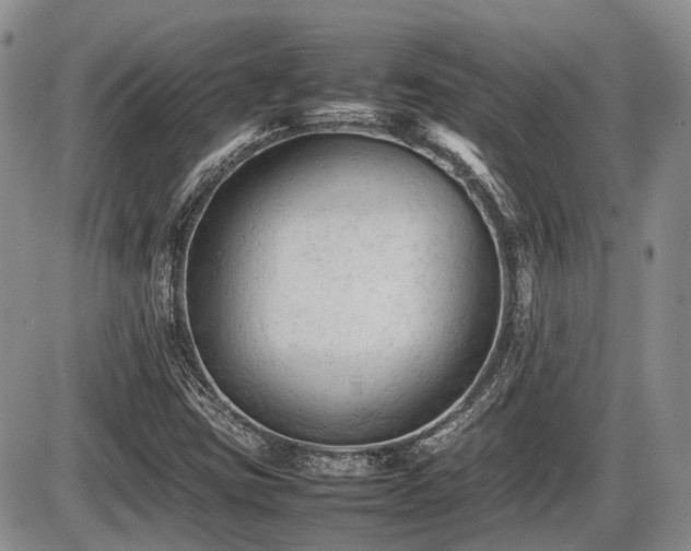 X0000086061403200703231230