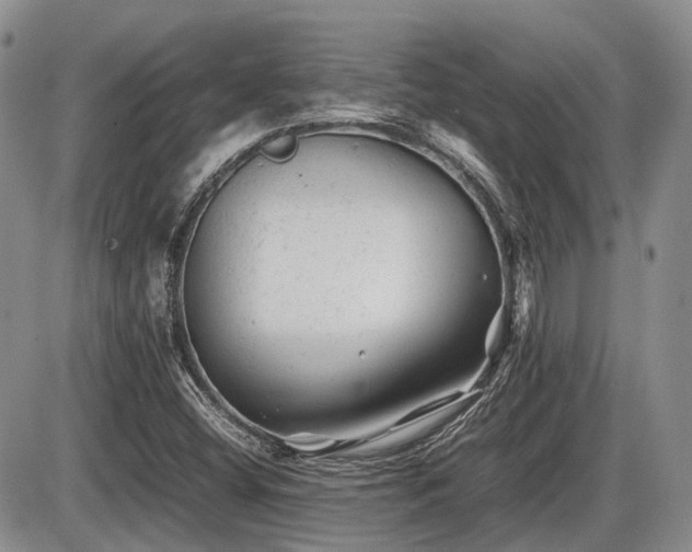 X0000086061404200703231230