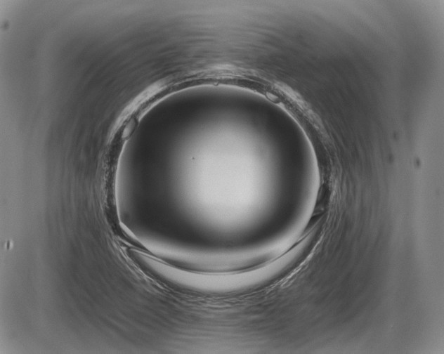 X0000086061410200703231230