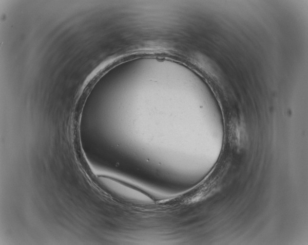 X0000086061412200703231230